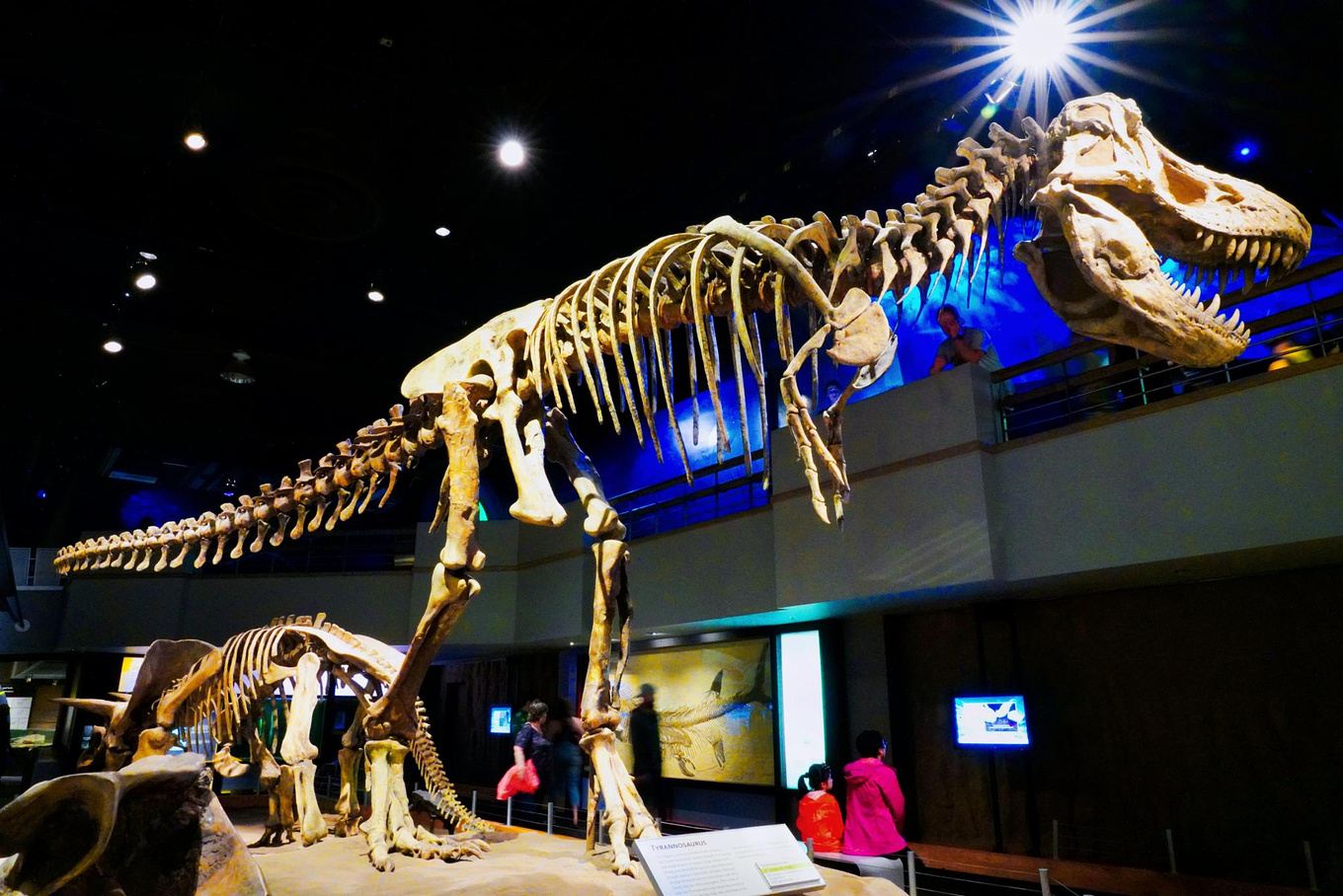 Royal Tyrrell Museum + Horseshoe Canyon