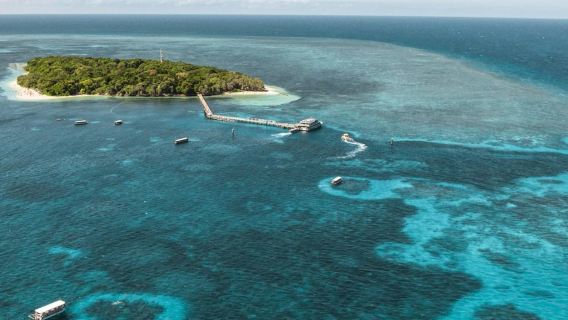 Green Island: Day Cruise from Cairns