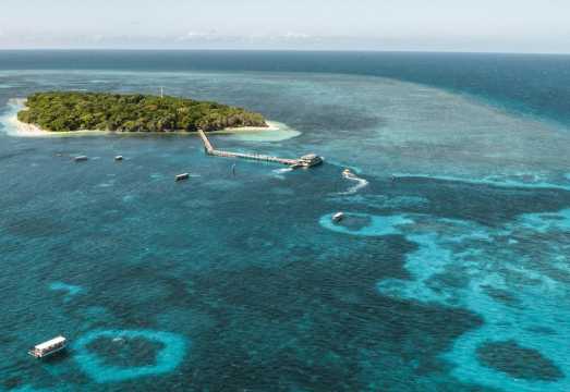 Green Island: Day Cruise from Cairns AUD 119.9