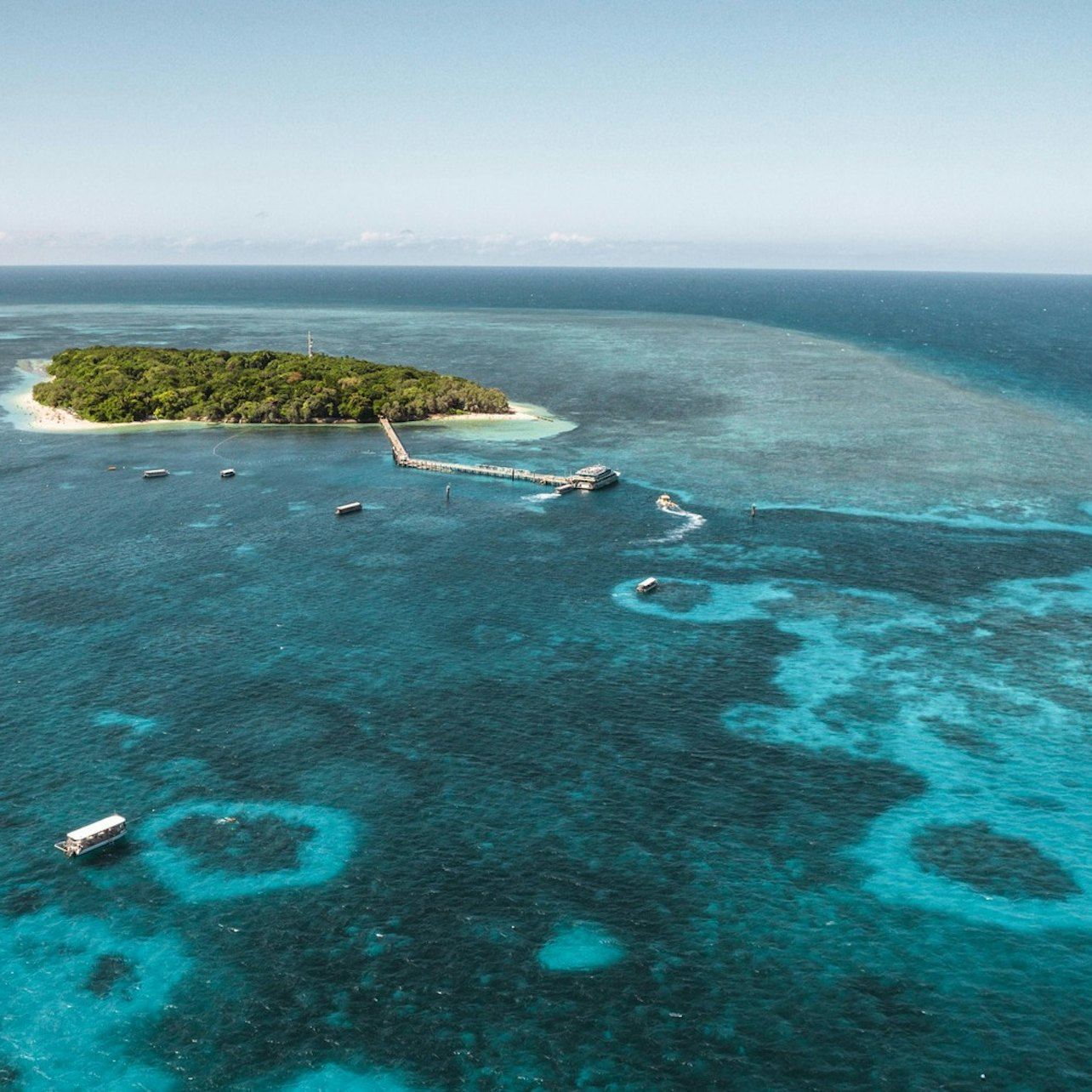 그린 아일랜드: 케언즈 출발 당일 크루즈