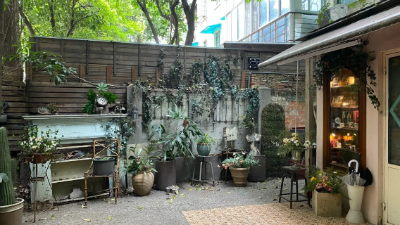 [Tour di un giorno nei quartieri artistici di Shanghai] Via Wukang + Via Anfu + Tempio Jing'an + Bund + Crociera notturna sul fiume Pearl