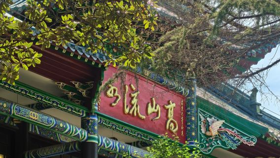 Ancient Charm & River Breeze Tour: Guqin Terrace | Robotaxi Experience | Guiyuan Temple