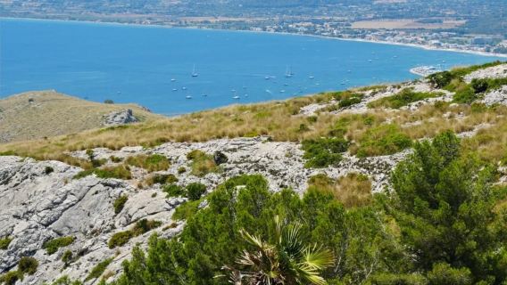 西班牙巴塞隆拿周邊-卡達克斯+Cabo Creus+菲格拉斯-包車精選