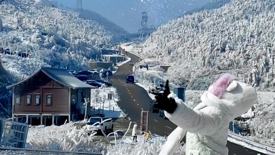 【雲冰山旅遊景區一日遊】邂逅雲端南方雪鄉·賞霧松冰掛雪景