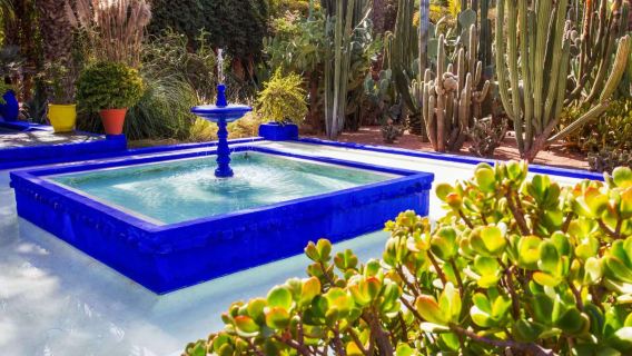 摩洛哥&馬拉喀什古城一日遊