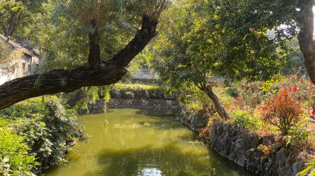 中山市博物館+孫中山故居+詹園+孫文西路一日|包車遊上門接送