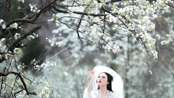 Gaomi Travel Photography[Red Sorghum Town/Fenghuang Park/Multilingual Translation/Photographer Services Including Follow Shots, Aerial Photography, Companion Shots, and Customized Sessions]