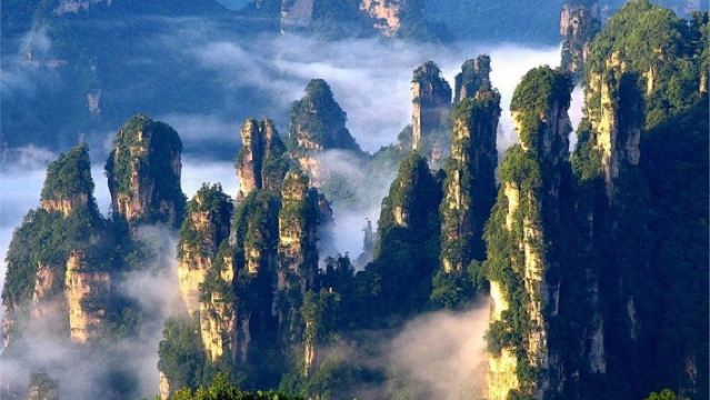 Zhangjiajie National Forest Park + Professional Tour Guide Service [Optional Private Chinese Guide/English Guide/Driver-Guide + Optional VIP Access to Attractions]