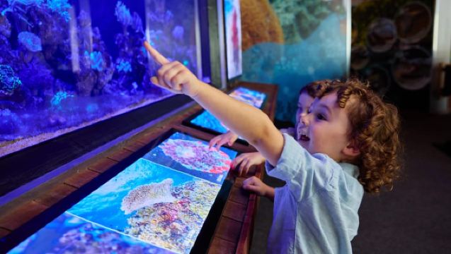 Kuranda, Cairns & Port Douglas Mehrfach-Park-Paket