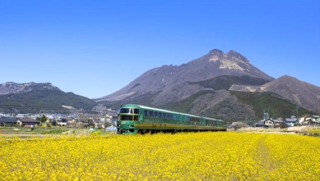 [Fukuoka'dan Hareket] Yufuin no Mori Tren Deneyimi + Yufuin + Doğal Hayvanat Bahçesi Günübirlik Turu