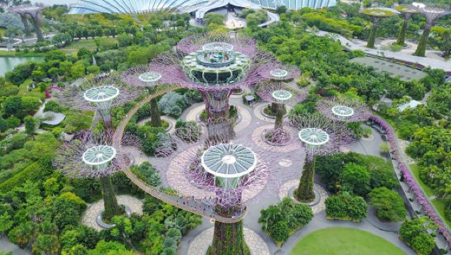 การ์เด้นส์ บาย เดอะ เบย์ [ฟลาวเวอร์ โดม/คลาวด์ ฟอเรสต์/ซูเปอร์ทรี สกายเวย์/ฟลอรัล แฟนตาซี/Singapore City Pass]