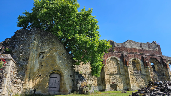 Tur-retur fra London + Dover's hvide klipper + Canterbury + Folkestone [Kinesisk/engelsk privatbil]