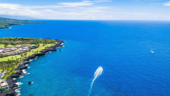 美國夏威夷大島科納海岸豪華海豚浮潛之旅（欣賞太平洋的自然美景和凱魯瓦-科納 (Kailua-Kona) 的寧靜魅力）