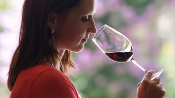 Château Olivier: One Hour Vineyard Tour with Wine Tasting