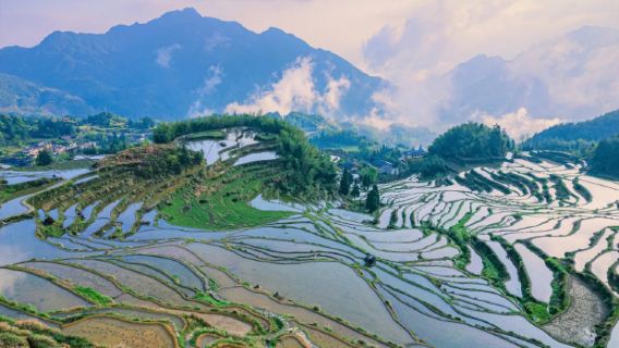 Lawatan sehari Lishui Yunhe Teres Sawah + Kampung Lukisan Guyan [Sewaan peribadi aktiviti tulen]
