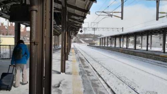 日本北海道+登別熊牧場+昭和新山一日遊/行程可調-可定制