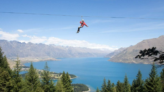 Experiência de tirolesa na floresta ecológica de Queenstown ~ opções de 2|4|6 tirolesas [explicação em inglês]