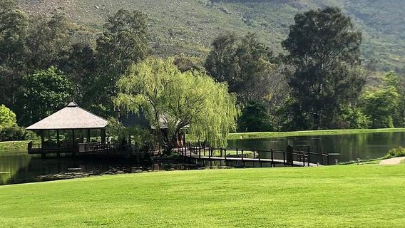 StellenboschTours