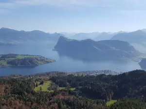 Lake Luzern pick and mix Tour - Burgenstock, Rigi Seebodenalp and Luzern