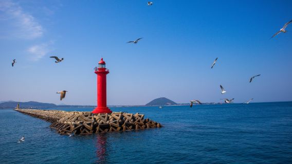 One-Day Tour to Jeju Island, South Korea