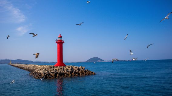 JejuTours