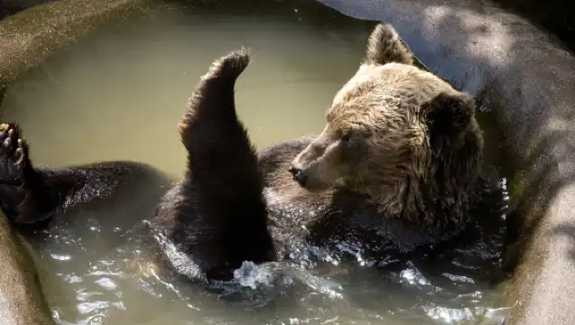 北海道 登別洞爺湖一日遊【9人小團／巴士團|可選酒店接送服務