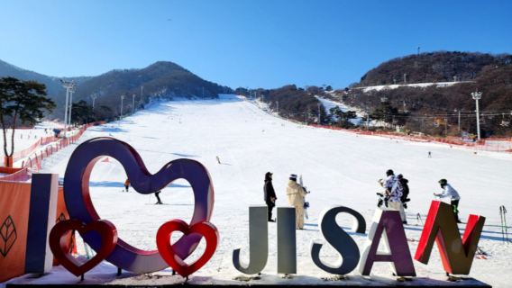Jisan Forest Resort, South Korea [Jisan Resort Skiing/Sledding 1-day tour]