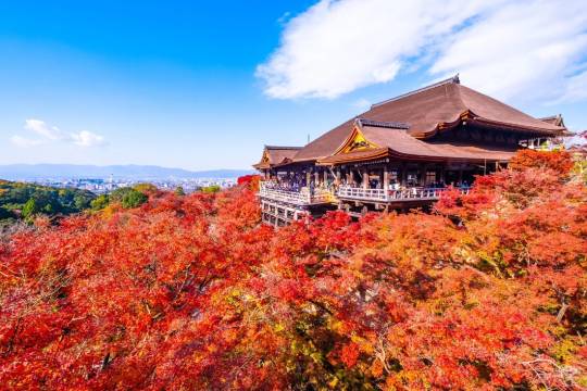 日本京都清水寺+三年阪二年阪+石塀小路+伏見稻荷大社+奈良公園+東大寺+祇園一日遊