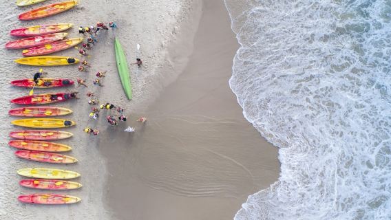 Kayak with the Dolphins: Half-Day Guided Tour