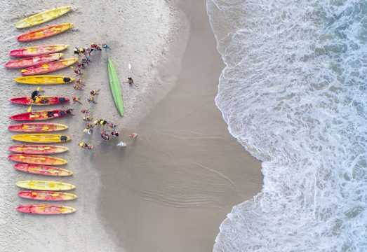 Kayak with the Dolphins: Half-Day Guided Tour