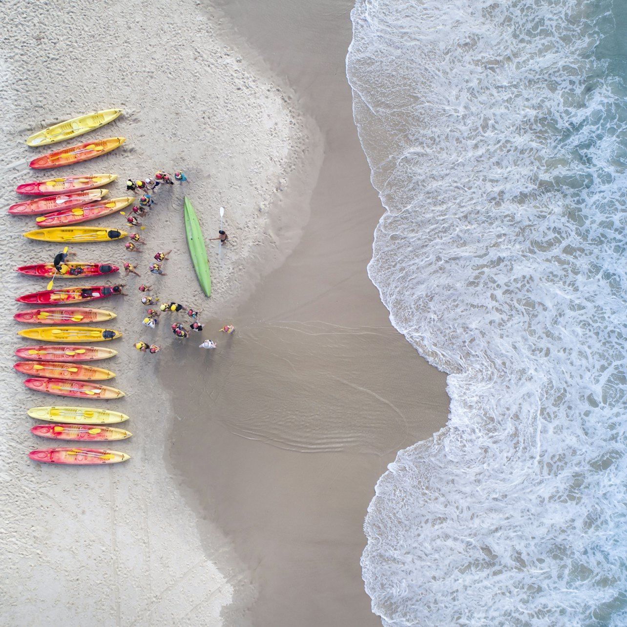 Kayak with the Dolphins: Half-Day Guided Tour