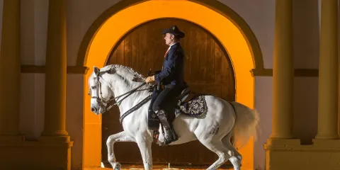 皇家安達盧西亞馬術學校:完整參觀 + 可選VIP升級