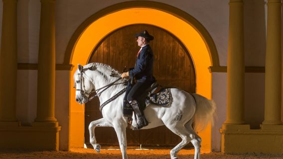 Royal Andalusian School of Equestrian Art: Full Visit + Optional VIP Upgrade