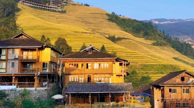 桂林龍脊梯田+金坑梯田+黃洛瑤寨一日遊：8人小團+可選私家團