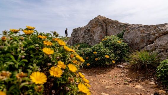 Albufeira