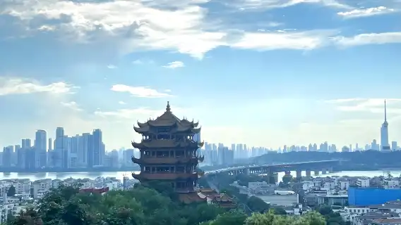 Wuhan one-day tour: Yellow Crane Tower Attractions Customizable|One order group|private charter|Multilingual guide G