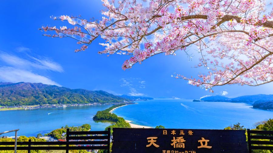京都天橋立丨伊根的舟屋+天橋立+飛龍觀+伊根灣餵海鷗+智恩寺
