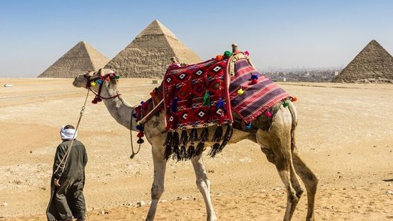CairoTours