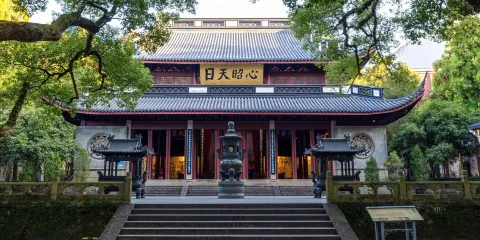 杭州西湖風景區+龍井村+岳王廟景區+浙江省博物館一日遊中英文服務
