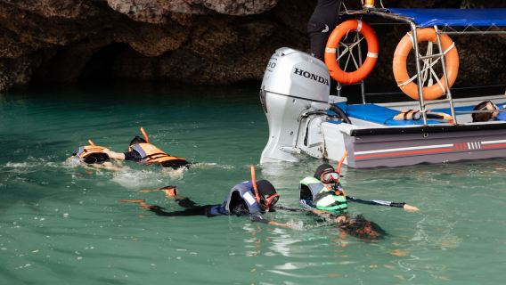 Mangrove Boat Tour Package 5 Hours Include Pick-up/Drop-off (Sharing Boat)