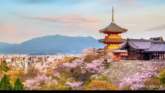京都日遊