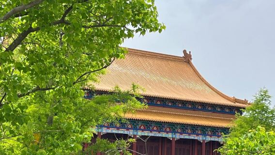 Suqian Water City North Jiangsu Little Sanya + Zaohe Ancient Town + Xiang Wang's Hometown one-day tour English Service