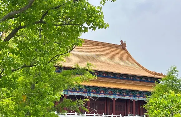 宿遷水城蘇北小三亞+皂河古鎮+項王故里一日遊中英文服務