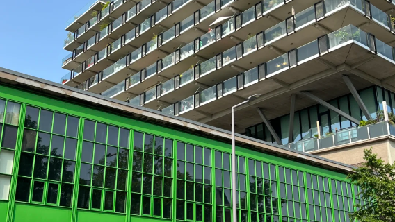 阿姆斯特丹出發:小孩堤防風車群，伊拉斯謨橋聖勞倫斯一日遊