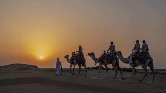 Excursión nocturna por el desierto de Abu Dabi en los Emiratos Árabes Unidos (con cena de barbacoa)