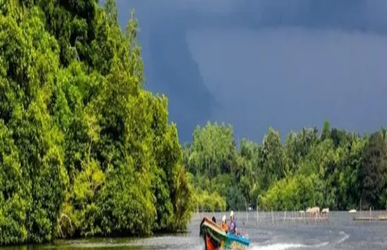 皮划艇2小時【斯里蘭卡科倫坡巴勒皮蒂耶生態漂流之旅9051】