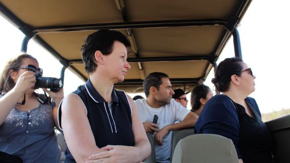 From Johannesburg: Pilanesberg Nature Reserve Game Safari