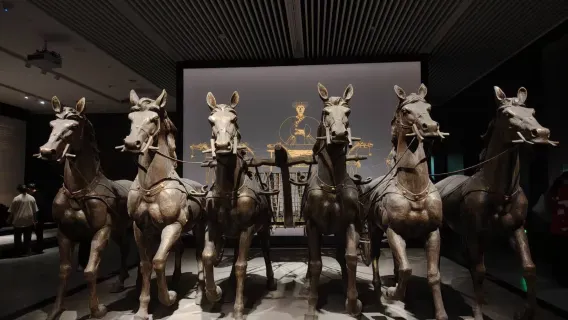 Un paseo guiado de 2 horas por el Museo Provincial de Hubei con guía de habla inglesa en un viaje organizado