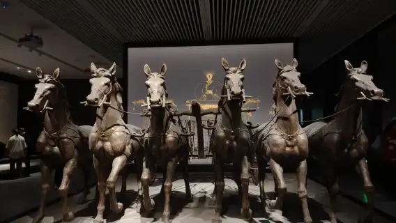 A 2-hour tour of Hubei Provincial Museum led by an English-speaking guide