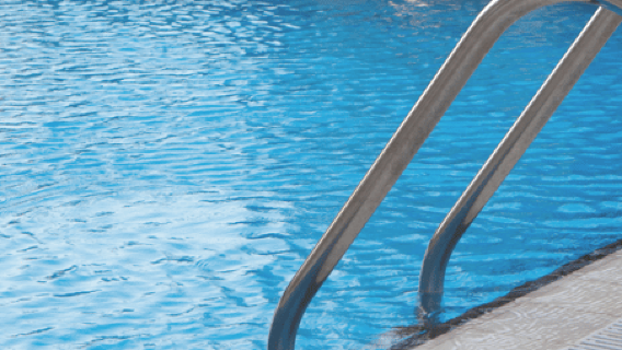 Aqaba: Private Beach, Pools, Snorkeling & Boat Trip,Transfer